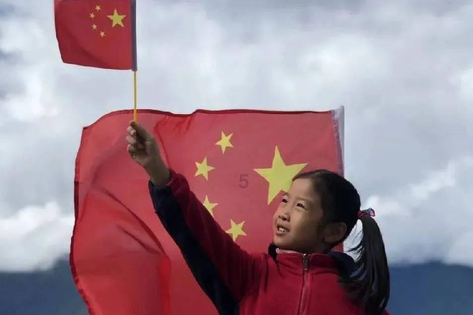 可怜猫的救援