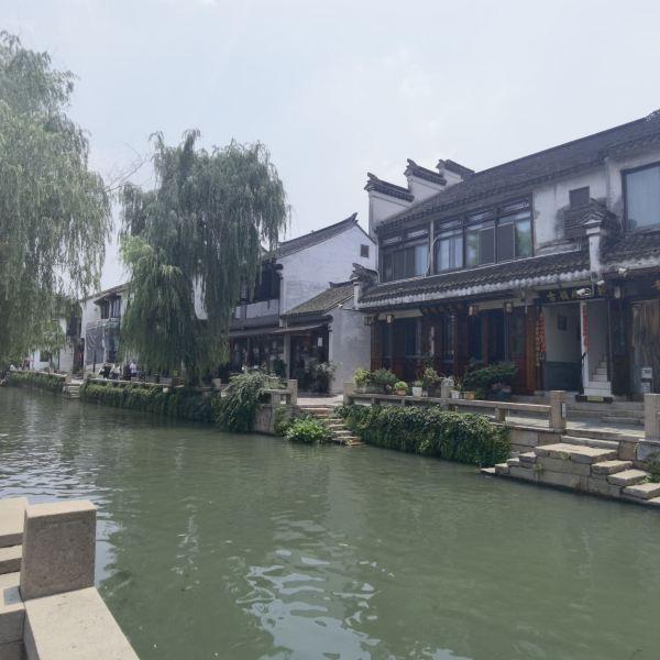 变异动物之战